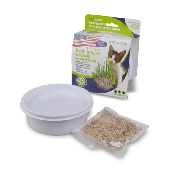 Fresh Greens Oat Grass Garden Kit - Image 4