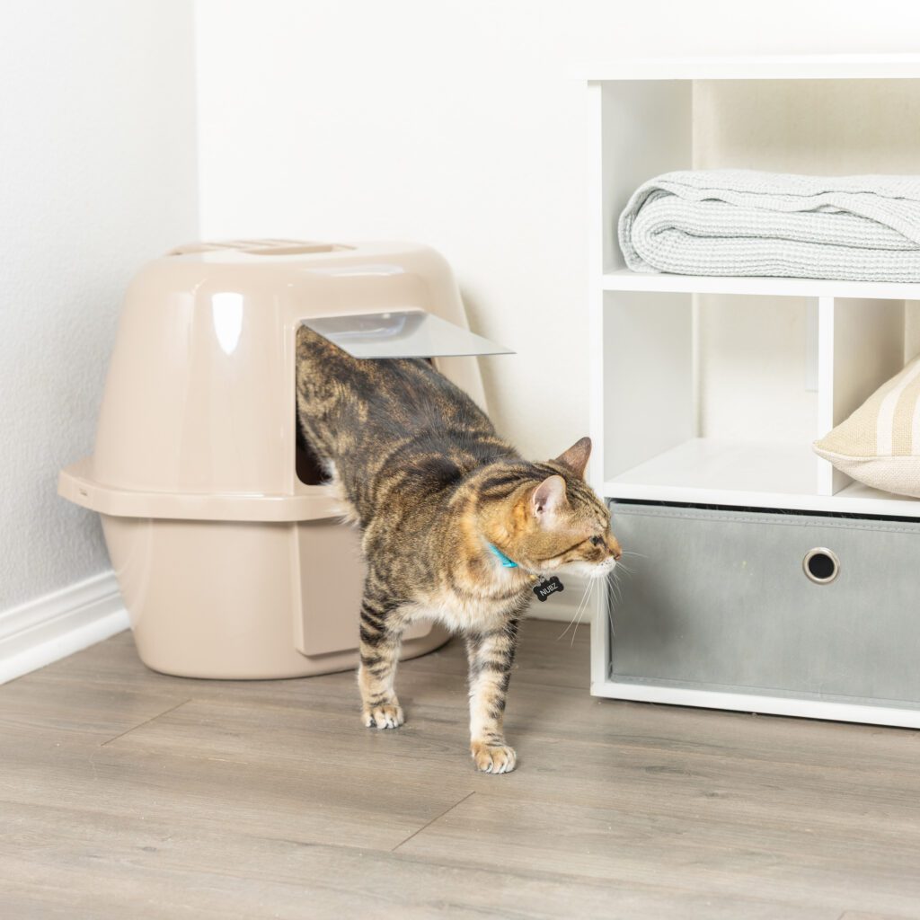 Corner Enclosed Cat Litter Box with Zeolite Air Filter - Van Ness Pet  Products Store