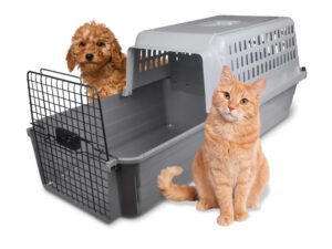 Calm Carrier Max (For Pets Up To 35lbs)