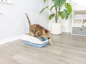 Large Cat Litter Box With Frame