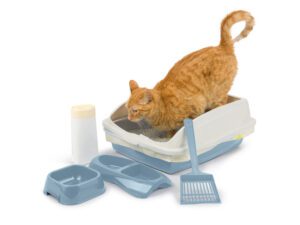 Starter Kit - Framed Cat Litter Box Set with Scoop, Bowls & Liners