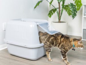 EZ Clean Jumbo Enclosed Cat Pan